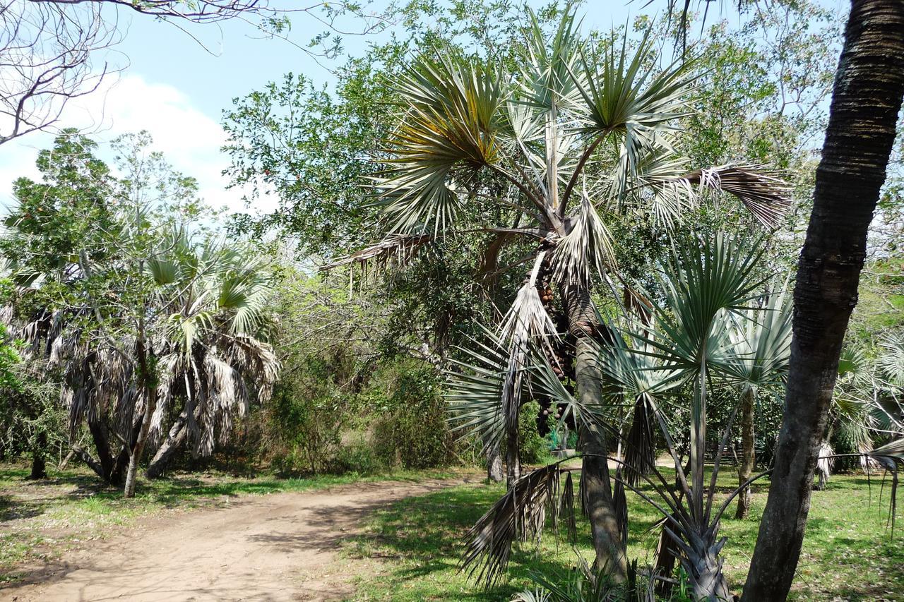 Isinkwe Bush Camp Villa Hluhluwe Exterior foto